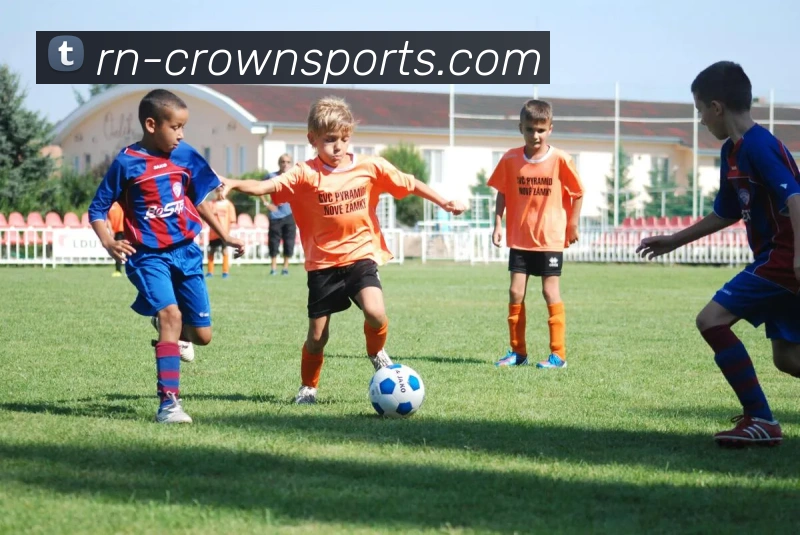 皇冠体育CROWNSPORT官网发展历程